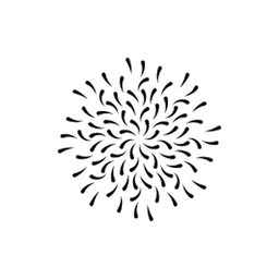 Particle Systems